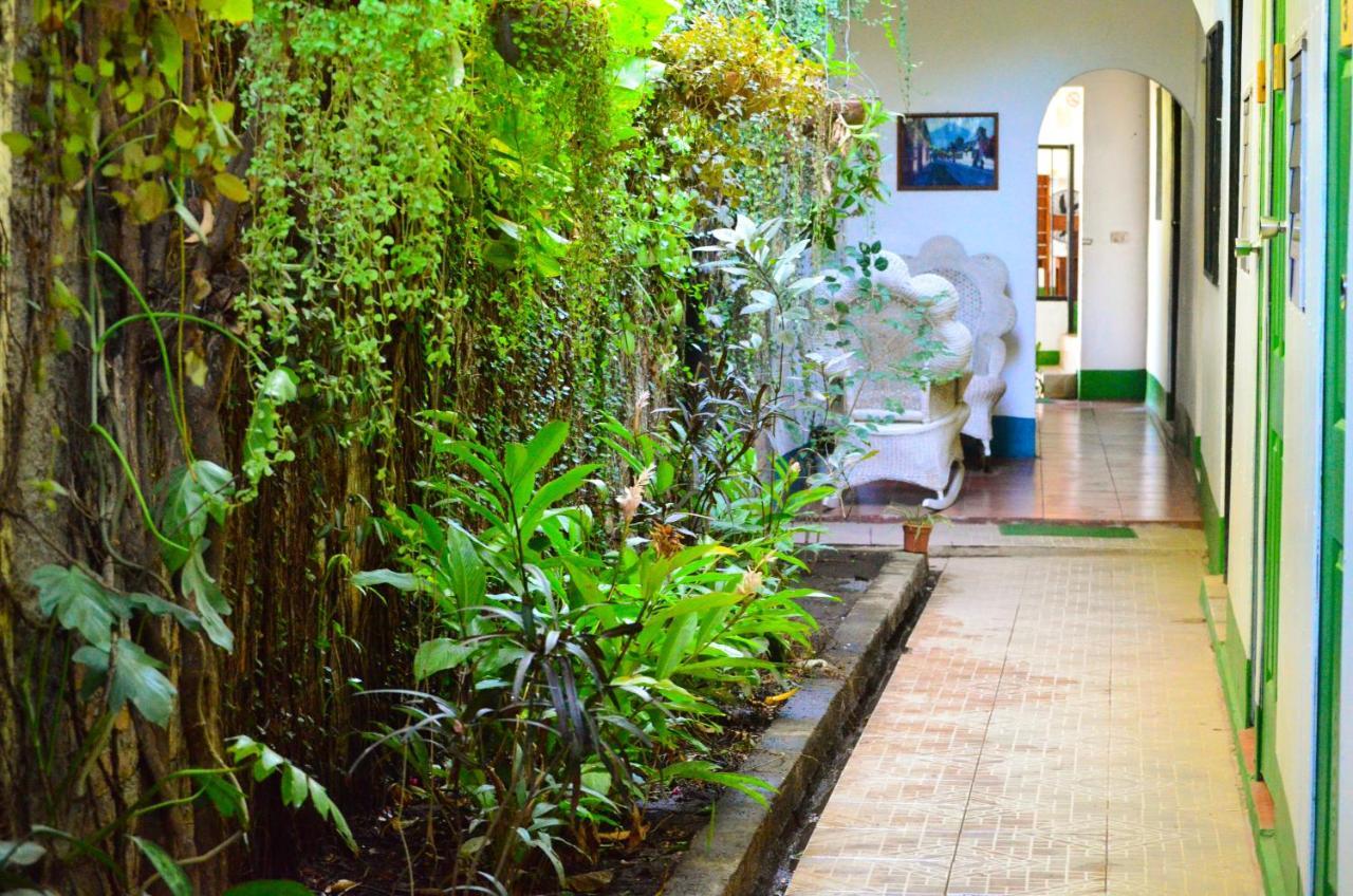 Hostal El Rio León エクステリア 写真