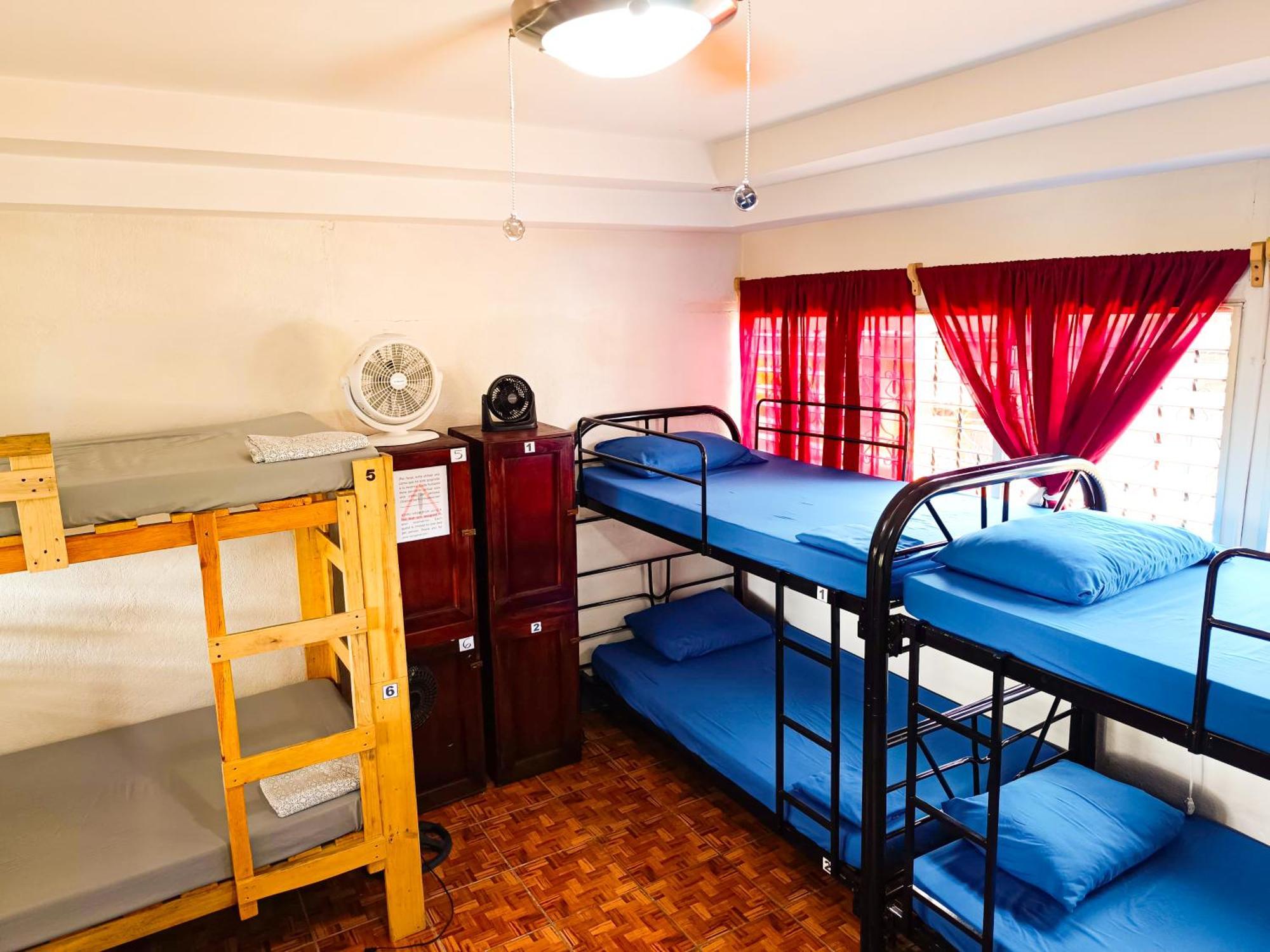Hostal El Rio León エクステリア 写真