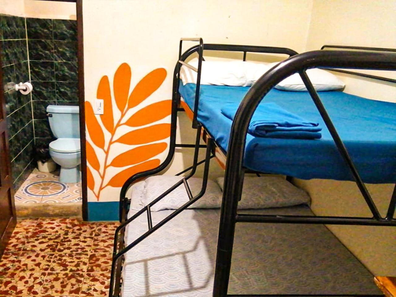 Hostal El Rio León エクステリア 写真