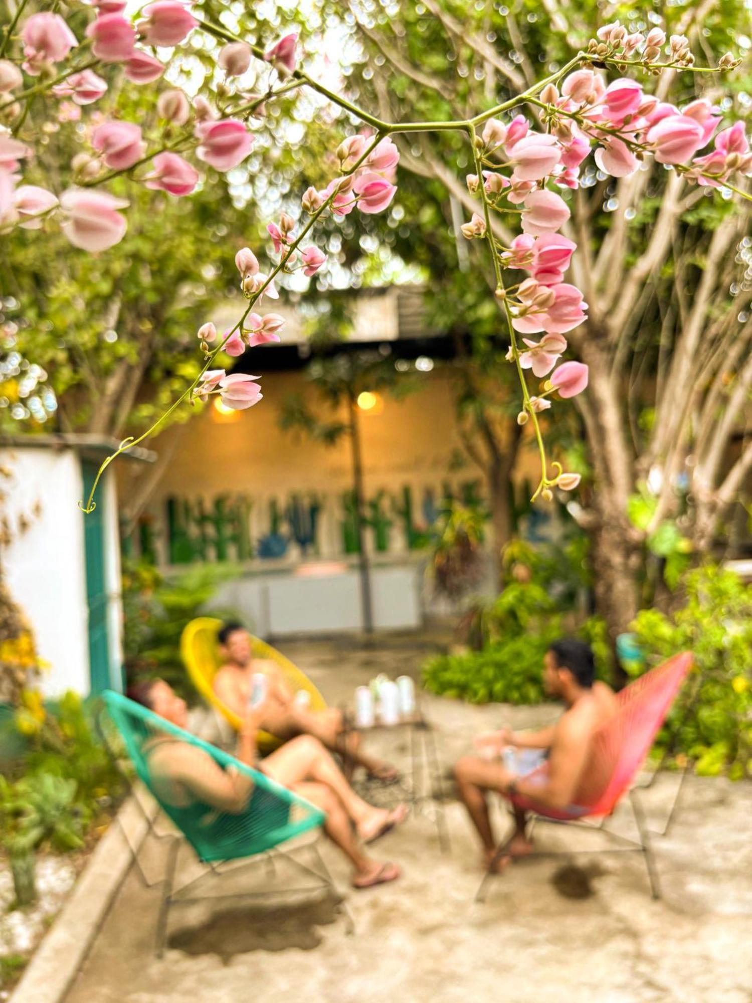 Hostal El Rio León エクステリア 写真